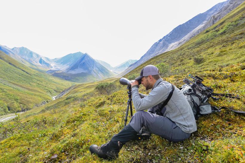 Cam foss glassing for sheep