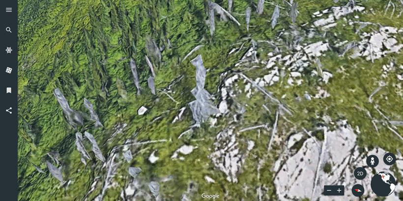 3d imagery of trees on google earth web version