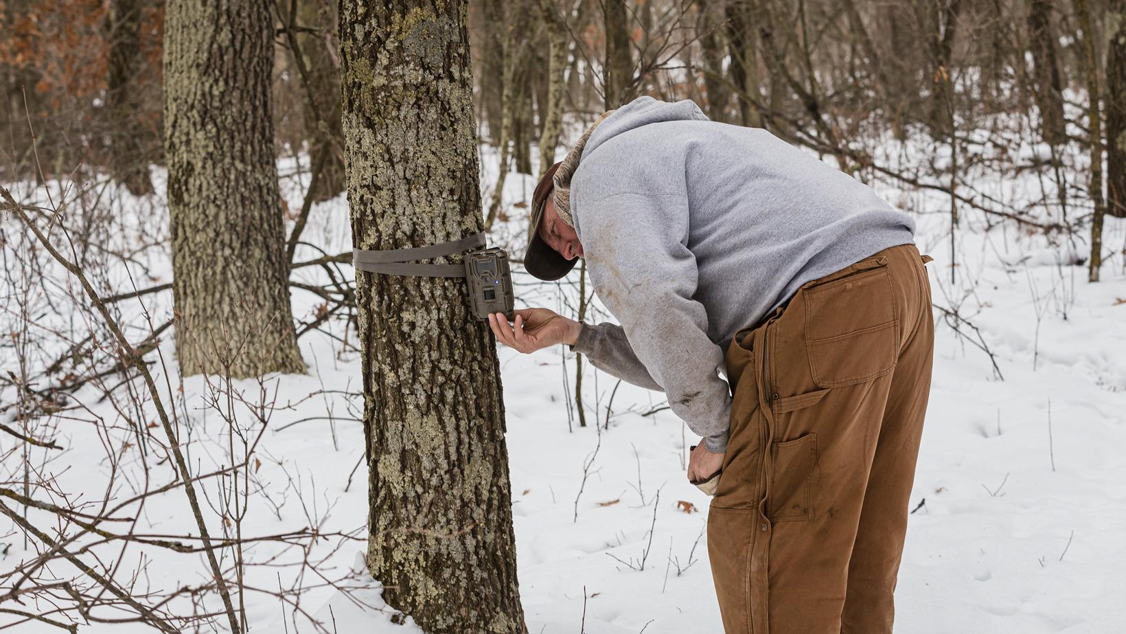 Checking trail camera for whitetail deer in late season