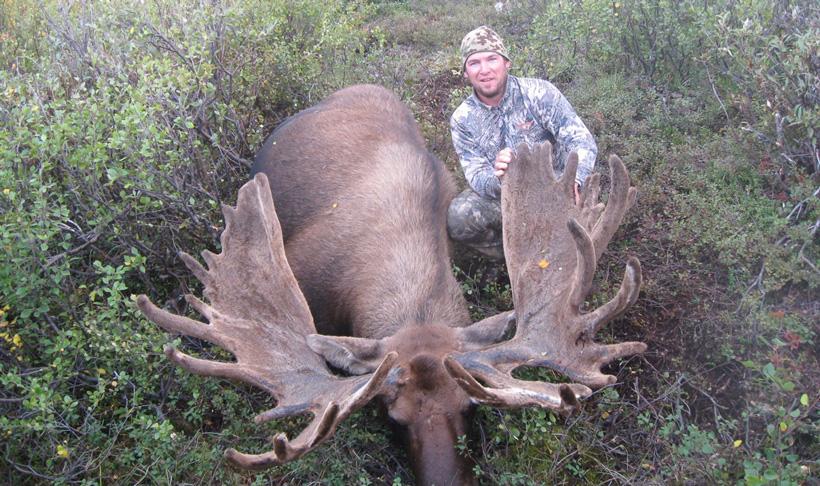 Alaska moose hunt goes from risk to reward in seconds - 3