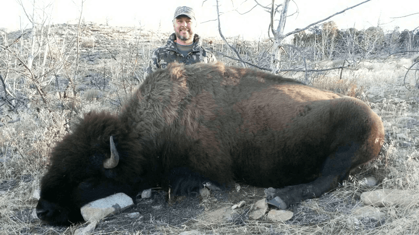 Utah bison high top outfitters