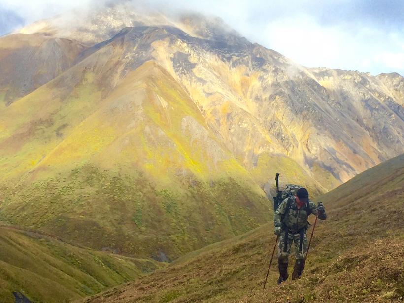 Dall sheep hunting terrain