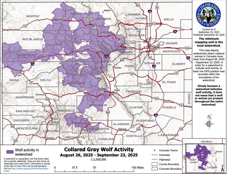 Monthly Collared Gray Wolf Activity August 26, 2025 - September 23, 2025