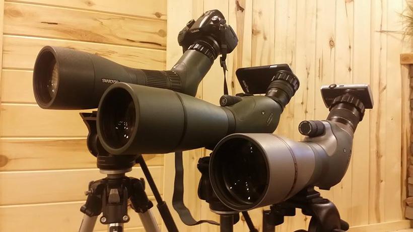 A complete overview of the best digiscoping setups for hunting - 0