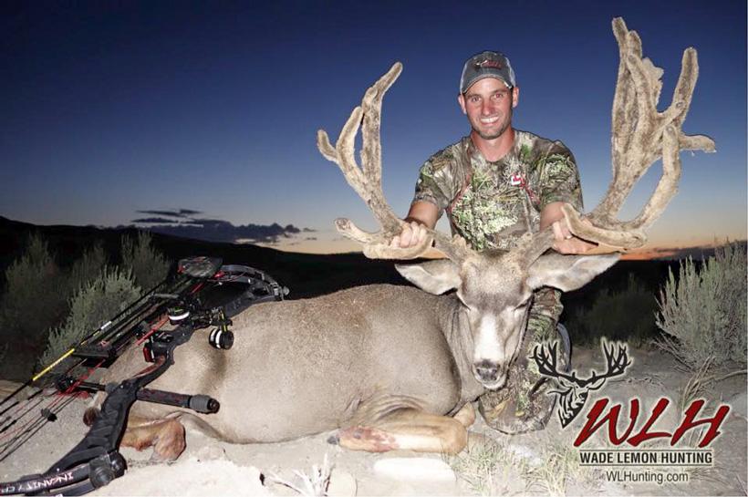 Dan young utah archery mule deer with wade lemon hunting
