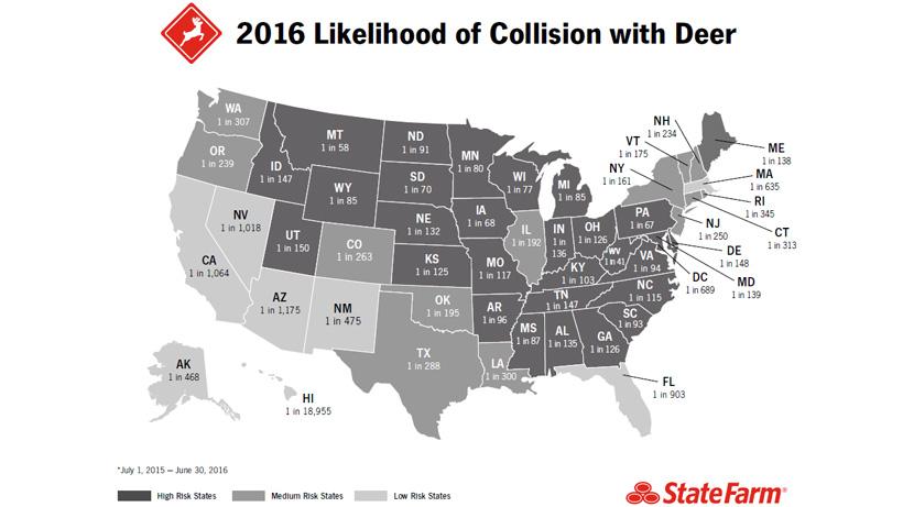 New Mexico deer-vehicle collisions highest in June - 1