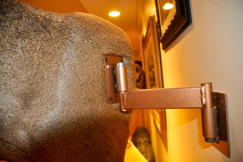 Wall mount bracket 1