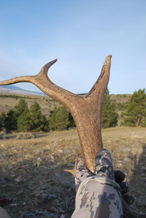 Memories from elk hunting out West for the first time - 7