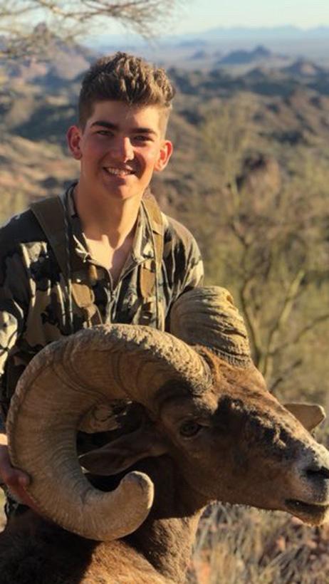 David griego bighorn sheep