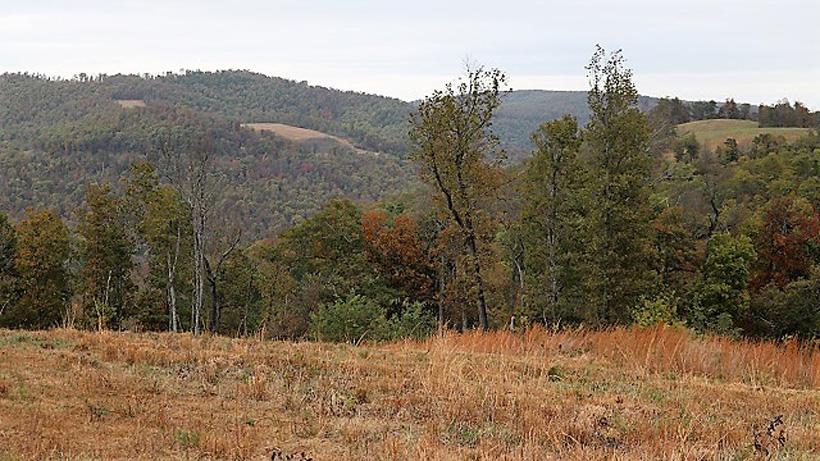 More arkansas elk hunting terrain