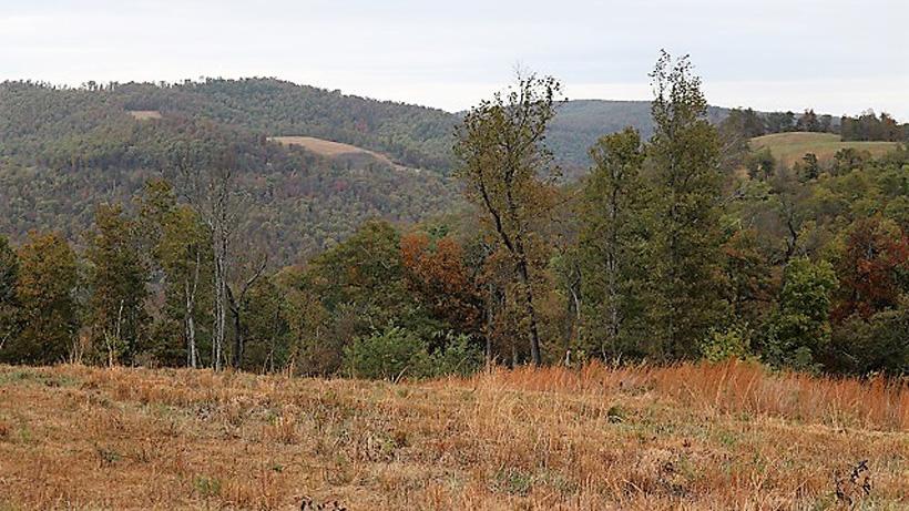 A southern style elk hunt in the mountains of Arkansas - 1