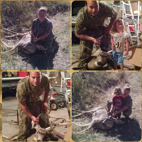 Kathryn maddock mule deer buck