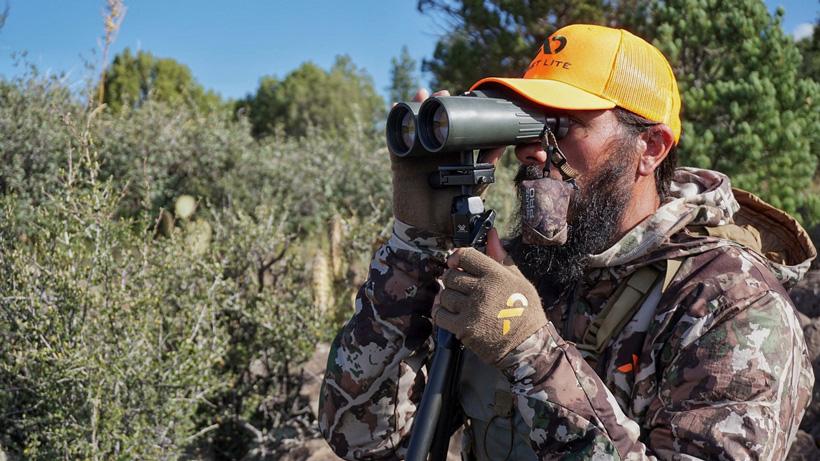 Glassing for arizona black bears