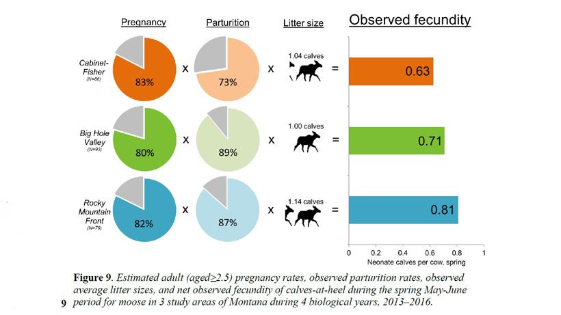 Observed fecundity from 2017 report_0