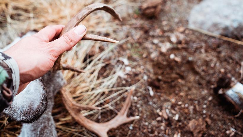 Sighting in longer ranges 5