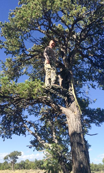 Setting up a treestand for a Utah elk bowhunt
