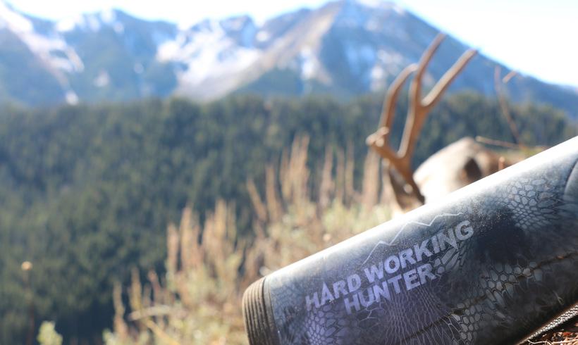 Hard working hunter equals mule deer success