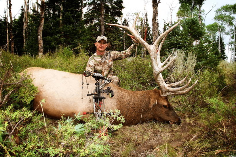 Steve barker utah bull elk