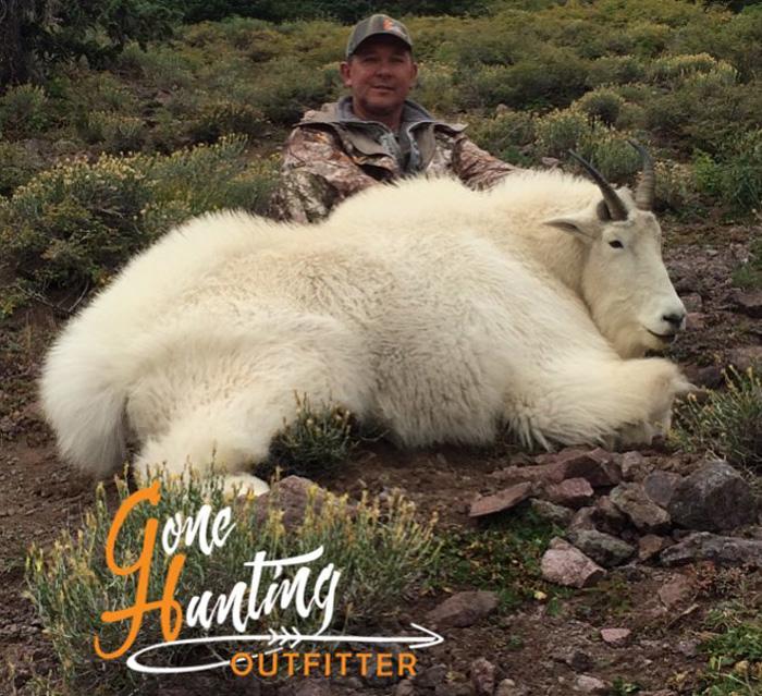 Utah mountain goat taken with gone hunting outfitters