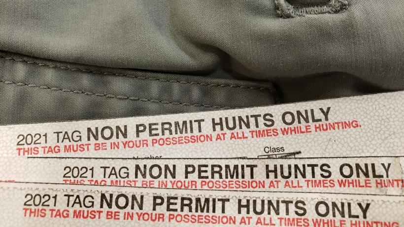 How to hunt year round - 0