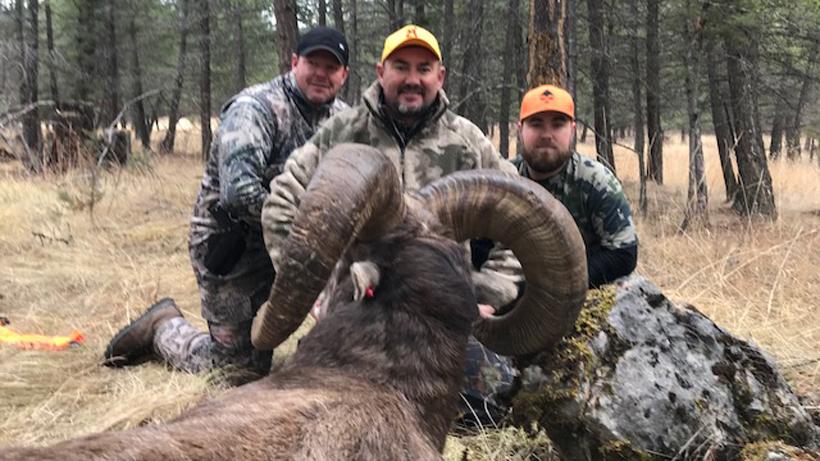 Once in a lifetime DIY Montana sheep hunt - 4