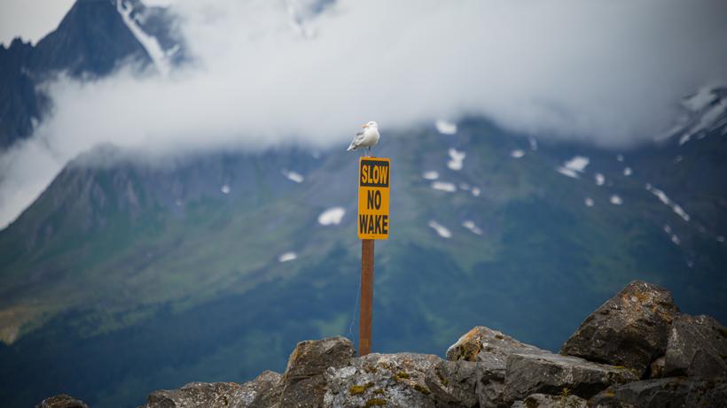 Staying in the game - V1