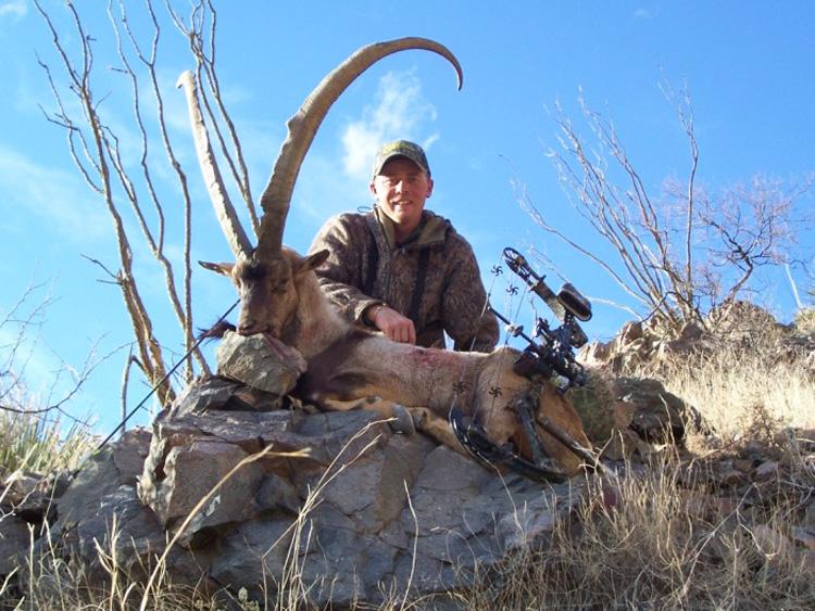 New mexico ibex taken with grahams guide service_1