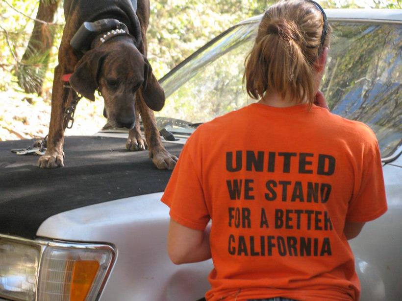 United we stand for a better california
