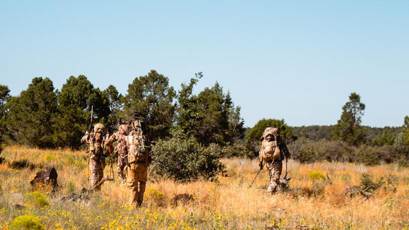 Passing on animals kirchner 4