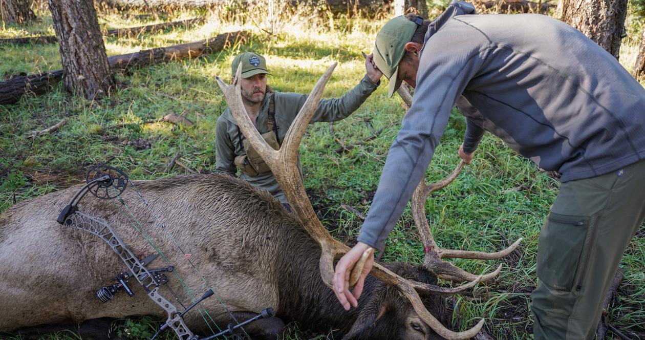 E-scouting tips for an archery elk hunt using GOHUNT Maps
