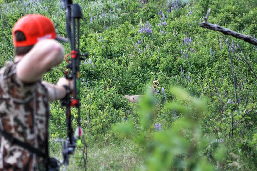 Will 3D shoots make you a better bowhunter? - 1
