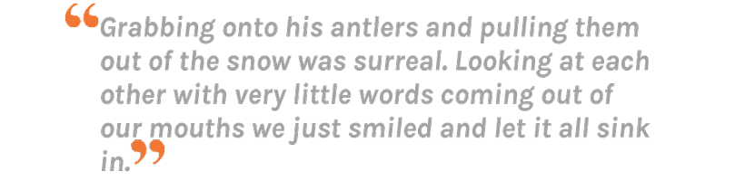 Quote after taking a high country montana mule deer