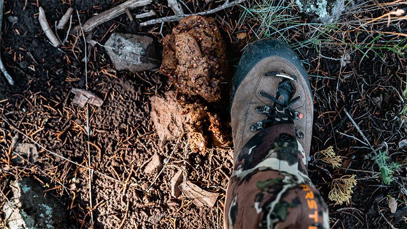 Five things to do on scouting trips besides look for animals 3