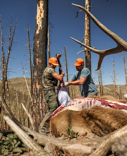 How to care for wild game meat in the field and get it home safely - 2