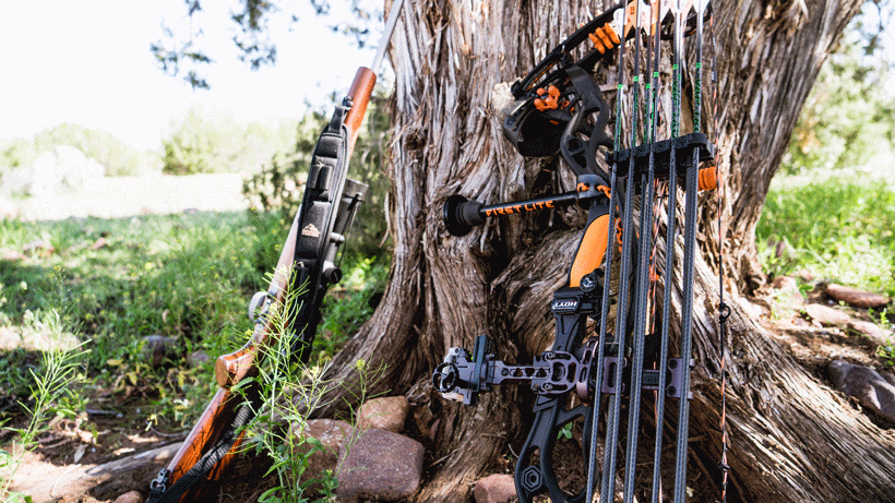 Rifle vs bow.gif