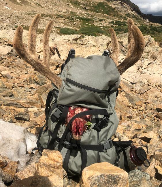 2019 Colorado high country early rifle mule deer hunt - 8d