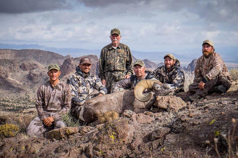Arizona desert outfitters desert bighorn sheep