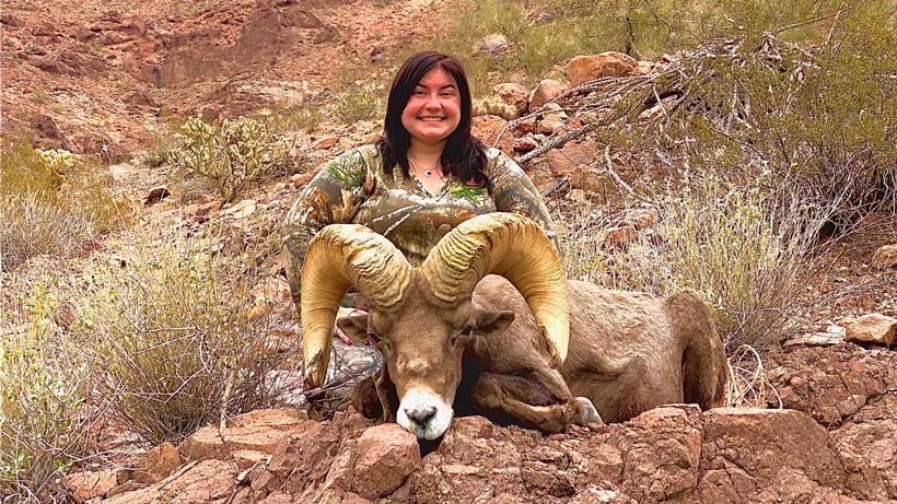 Brittany parrish bighorn sheep