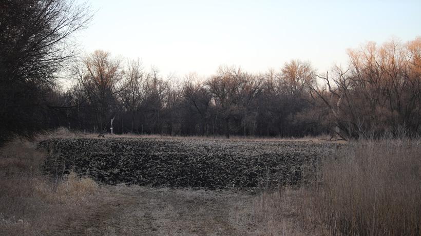 Ideal setup for heads up decoy tactic