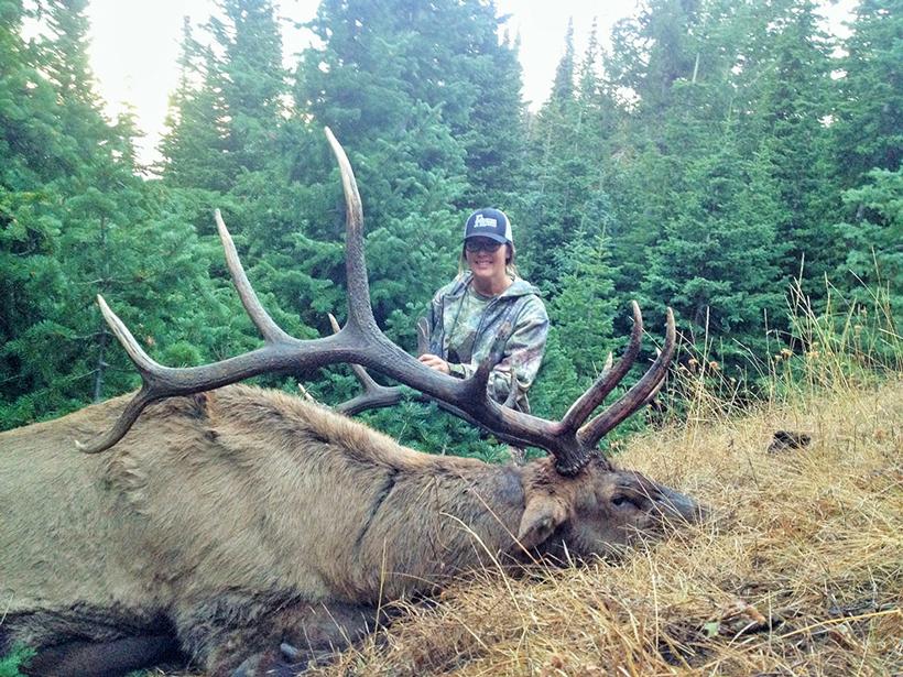 Whiskey mountain outfitters bull elk