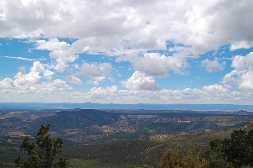 Scenery photo while looking for elk in new mexico