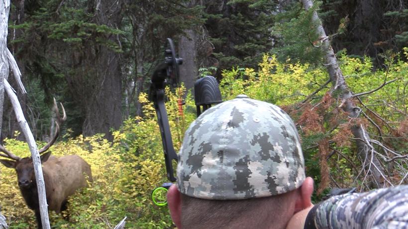 How to locate and hunt more elk - 8