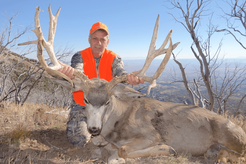 Large utah mule deer buck