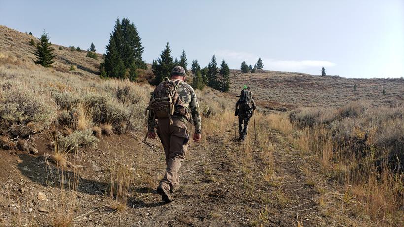 Scouting while hunting 2