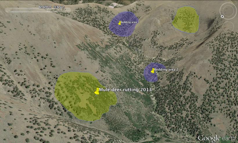 Transparent polygons for hunting research