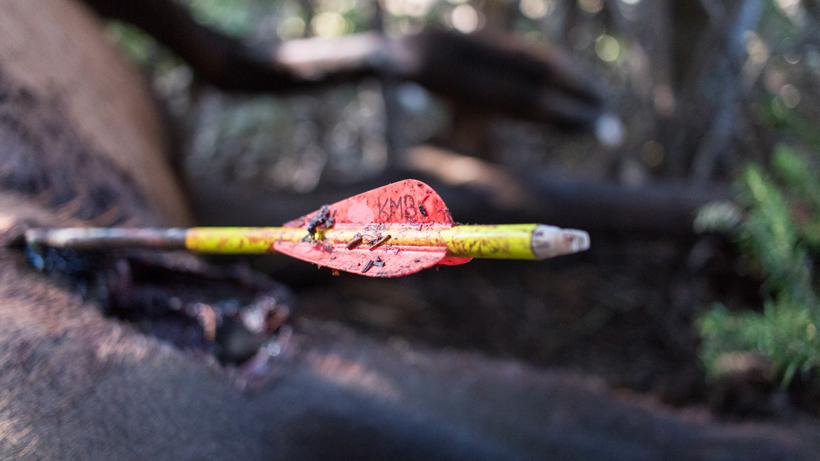 Sitting tight for bucks and bulls