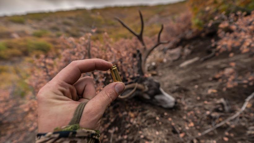 Ultimate muzzleloader with mule deer buck
