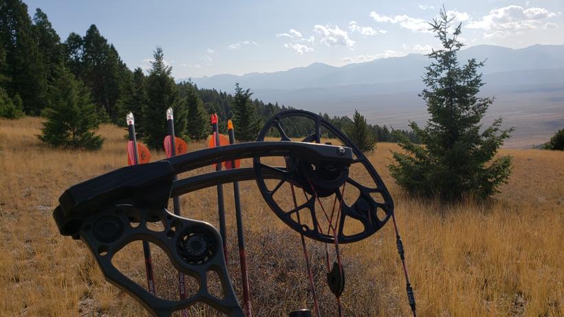 Scouting while hunting 1