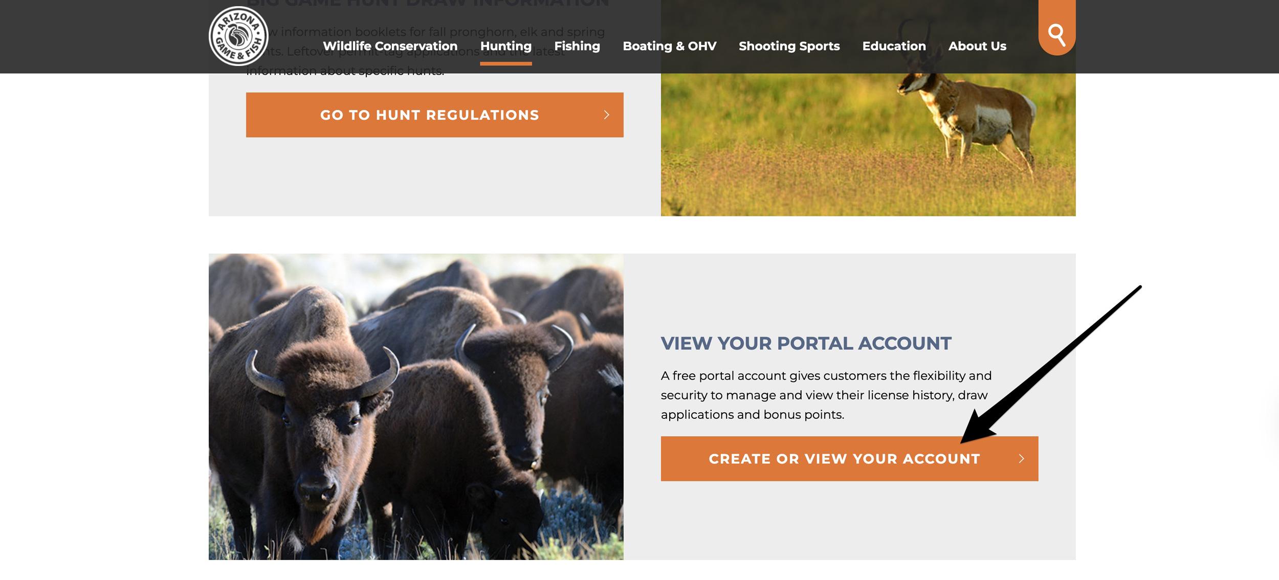 View your Arizona portal account