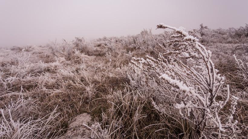 Weather in the backcountry